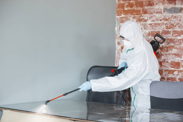 Best Industrial Mold Remediation  in Lockwood, MT